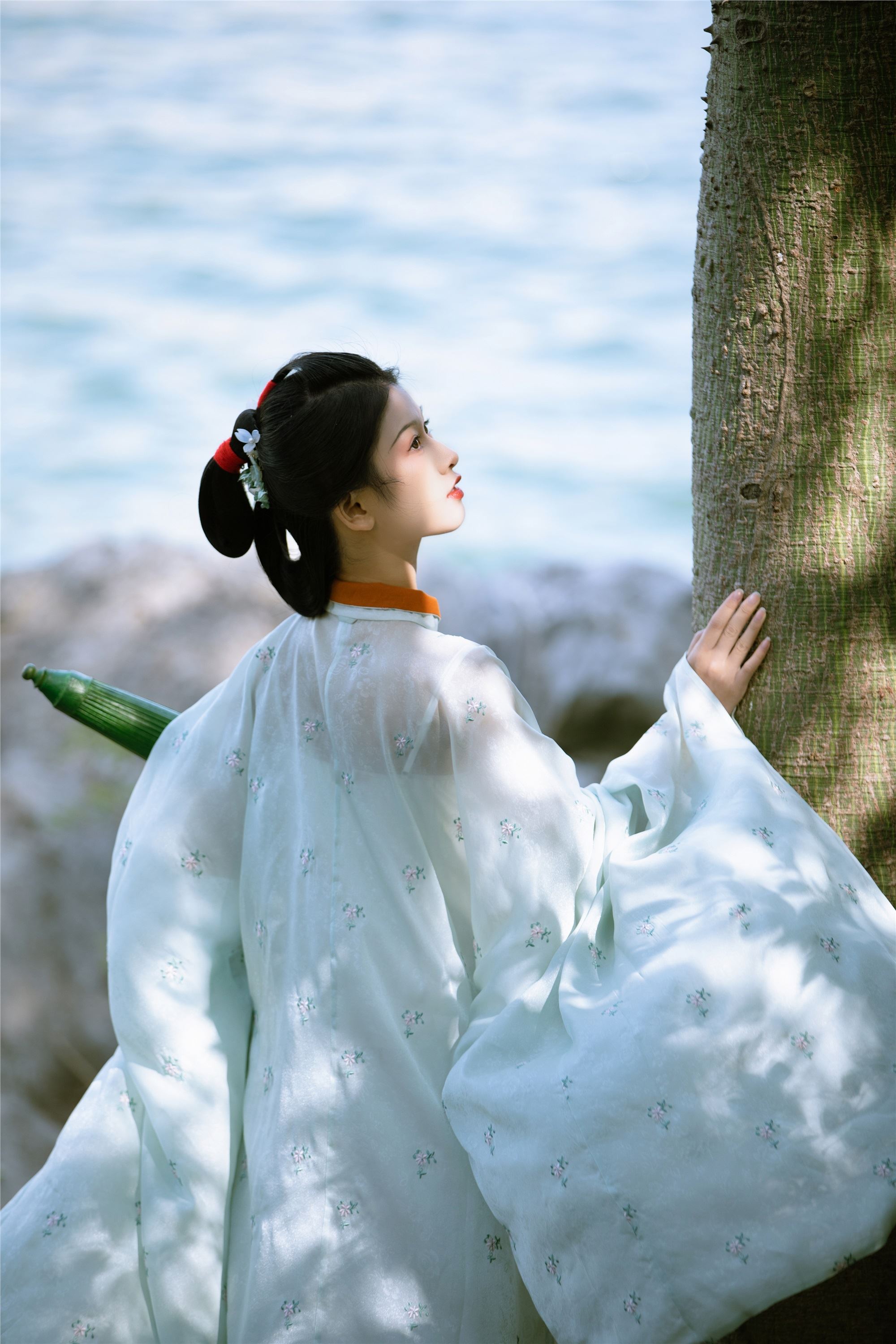 YITUYU艺图语 2025.01.28 观沧海 歪歪